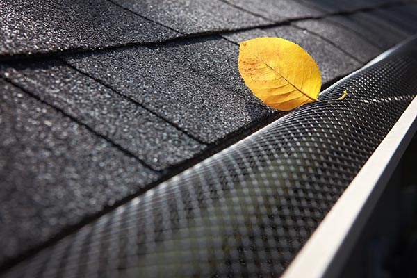 gutters are protected by leaves with proper gutter system