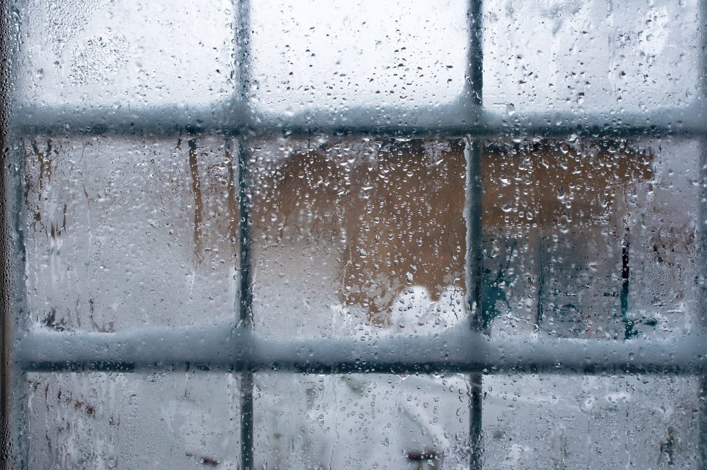 Prepare for winter by choosing energy-efficient windows